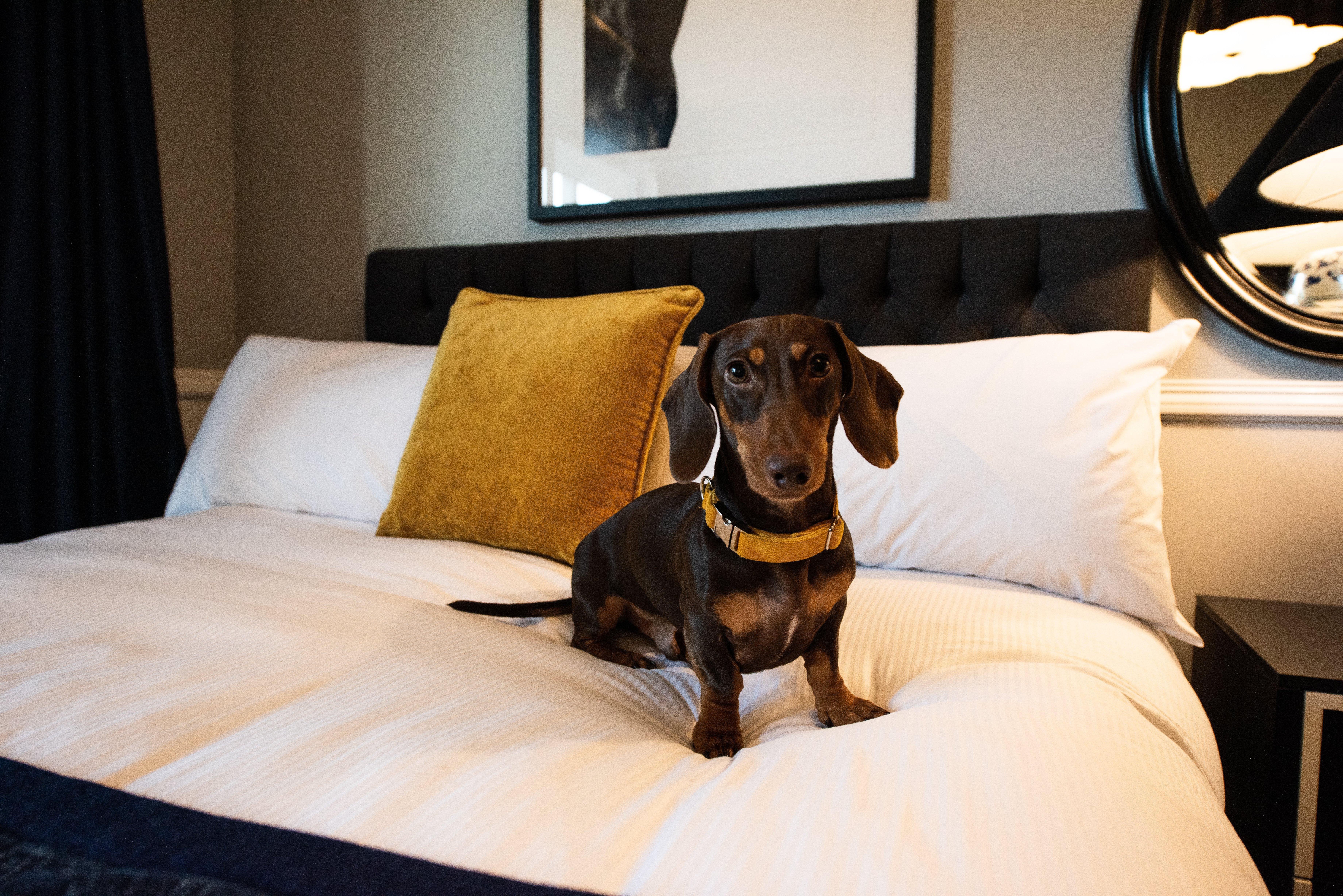 פוקולבין Voco™ Kirkton Park Hunter Valley, An Ihg Hotel מראה חיצוני תמונה