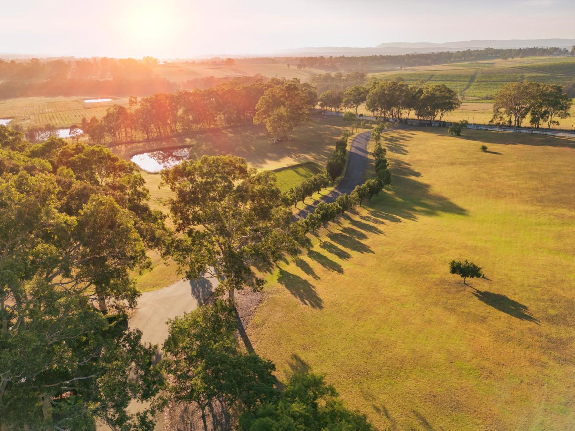 פוקולבין Voco™ Kirkton Park Hunter Valley, An Ihg Hotel מראה חיצוני תמונה